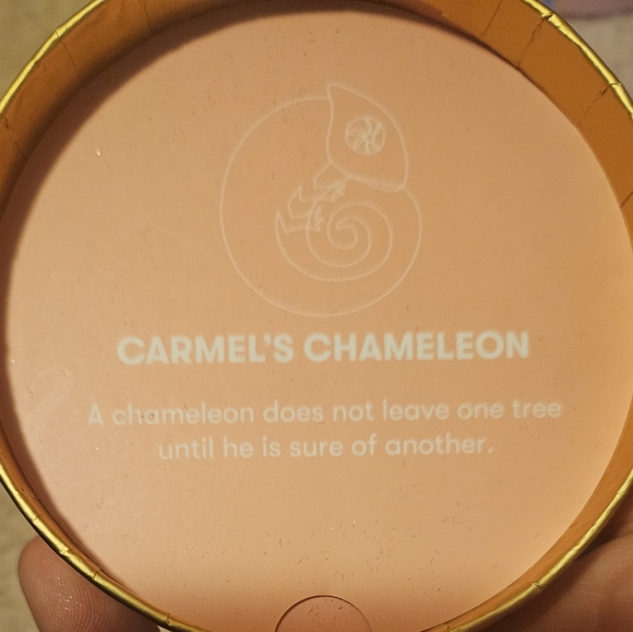 Carmel's Comedian Lucky Dip Erstwilder - Picture 3 of 4